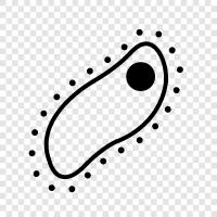 bacteria icon svg