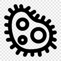 bacteria, viruses, fungi, protozoa icon svg