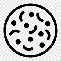 bacteria icon svg