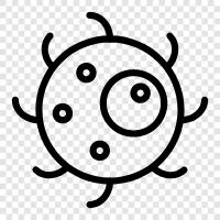 bacteria icon svg