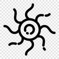 bacteria icon svg