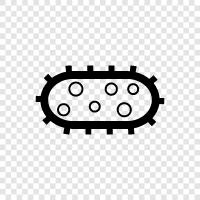 bacteria icon svg