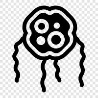 bacteria icon svg