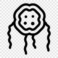 bacteria icon svg