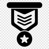 badges, insignia, awards, recognition icon svg