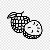 baked apple custard, apple custard pie, apple custard tart, custard apple icon svg