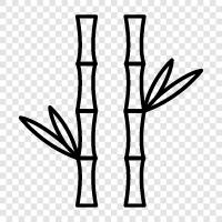 bamboo products, bamboo furniture, bamboo flooring, bamboo plants icon svg