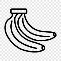 banana fruit, banana plant, banana tree, banana cultivar icon svg