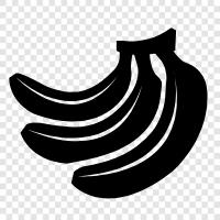 banana, banana republic, banana republicans, banana republicans party icon svg