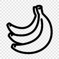 banana, banana fruit, banana plant, banana tree icon svg