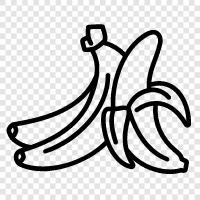 banana peel, banana split, banana republic, banana republic ships icon svg