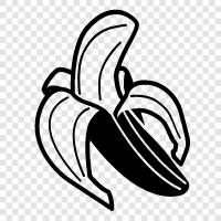 banana republic, banana republic airlines, banana republic cruise, banana republic resort icon svg
