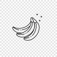 banana republic, banana republic ambassador, banana icon svg