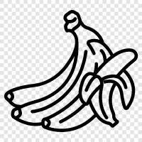 banana split, banana republic, banana republic clothing, banana republic sunglasses icon svg