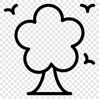 Rinde, Blatt, Nadeln, Blumen symbol