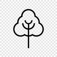 bark, leaves, trunk, branches icon svg