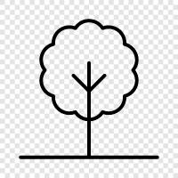 bark, wood, leaves, branches icon svg