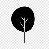 bark, leaves, needles, fruit icon svg