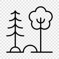 bark, leaves, trunk, flowers icon svg