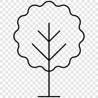 bark, trunk, leaves, branches icon svg