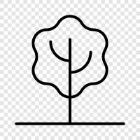 bark, leaves, trunk, branches icon svg