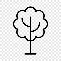 bark, sap, leaves, roots icon svg