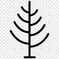 bark, leaves, branches, trunk icon svg