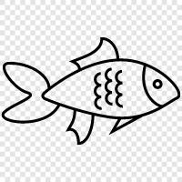 bass, catfish, cichlid, crappie icon svg