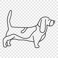 Basset, tazı, köpek, cinsler ikon svg