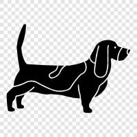 Basset, Hound, Dog, Breed icon svg