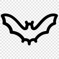 bat, flying, mammals, nocturnal icon svg