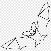 Bat icon svg