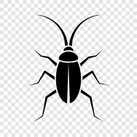 bathroom, cleanliness, insect, infestation icon svg