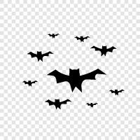 Batting, Flying, Mammal, Bat icon svg