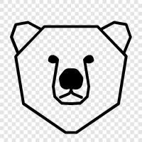 bear, animal, brown, furry icon svg