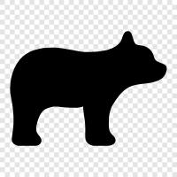 Bear icon svg