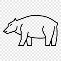 Bear icon svg