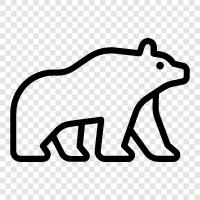 bear, big, brown, animal icon svg
