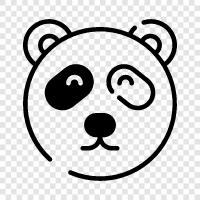 bears, endangered, conservation, giant panda icon svg