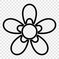 Beautiful, Bloom, Garden, Bouquet icon svg