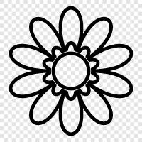 beautiful, bouquet, blossom, flora icon svg