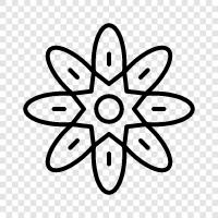 Schön, Blüte, Bouquet, Blume symbol