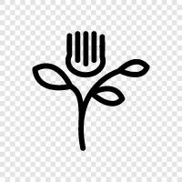 beautiful, beauty, fragrant, garden icon svg