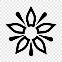 Beautiful, Bloom, Bloomers, Bouquet icon svg