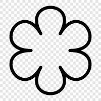 Beautiful, Bloom, Blooms, Bloomer icon svg