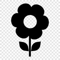 Beautiful, Bloom, Garden, Bloomers icon svg