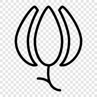 Beautiful, Bloom, Bloomers, Buds icon svg