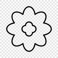 Beautiful, Bloom, Bloomers, Bouquet icon svg