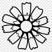 Beautiful, Bloom, Bloomers, Bloomersuit icon svg