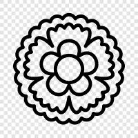 beautiful, blossom, calyx, corolla icon svg